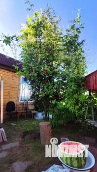 Дача 30м², 2-этажный, участок 8 сот.