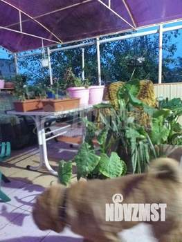 Коттедж 300м², 3-этажный, участок 30 сот.  