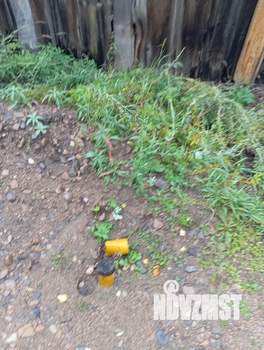 Дом 92м², 1-этажный, участок 10 сот.  