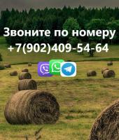 Фото комнаты в аренду (3)