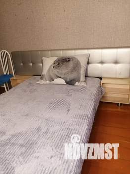 1-к квартира, посуточно, 32м2, 3/5 этаж